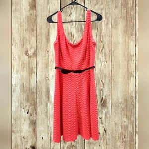 Coral laced knee-length Luxe by Carman Marc Valvo Dress size 14